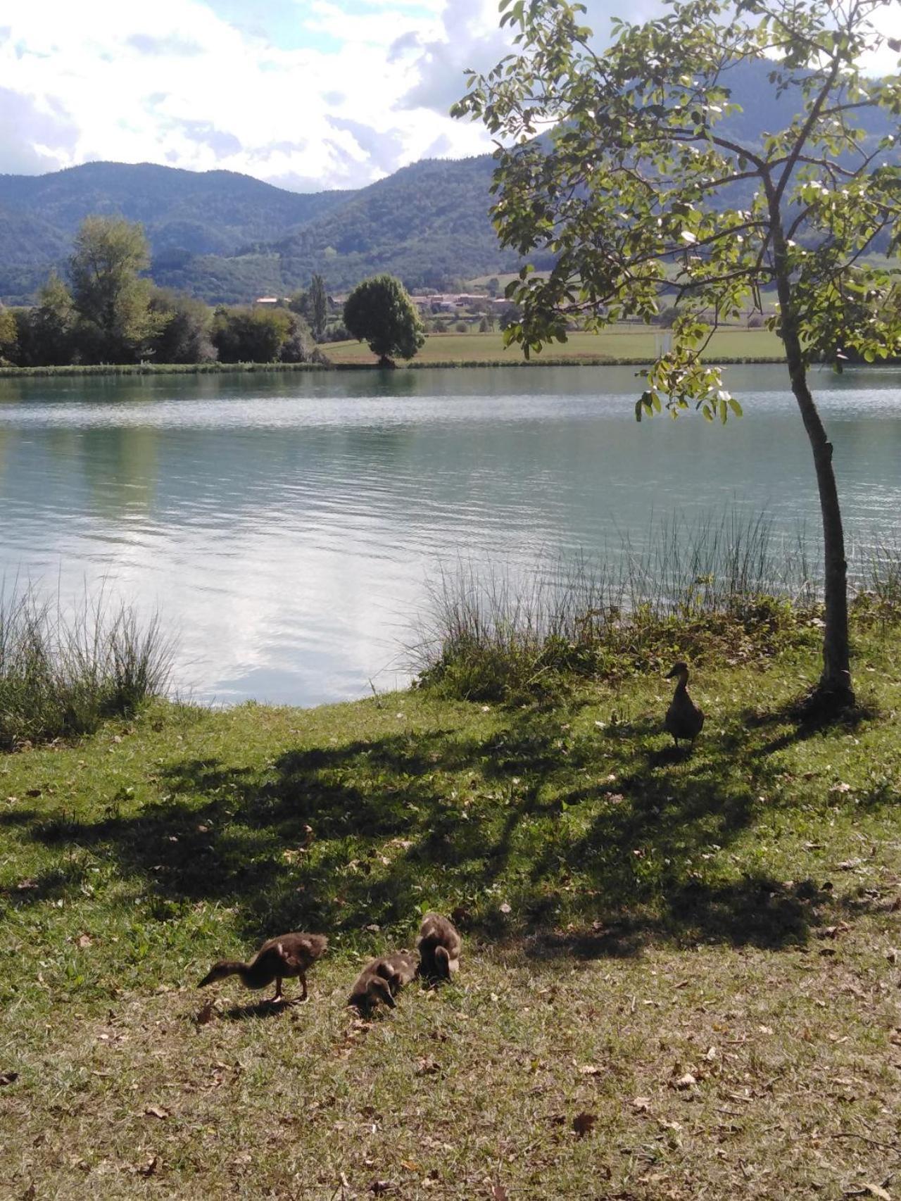 Au Doux Clocher Pieusse Buitenkant foto